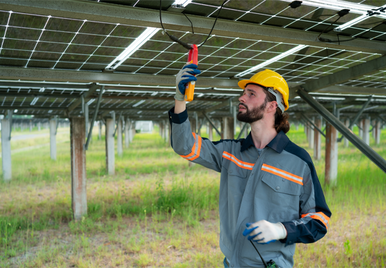 Operation and Maintenance services